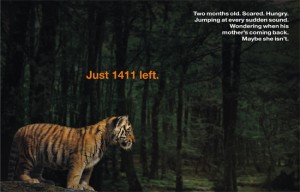 Img src: http://saveourtigers.com