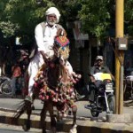 riding-horse