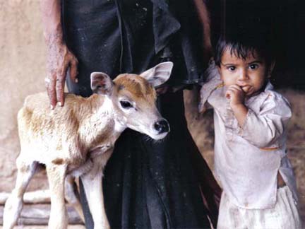 Motherly love to both innocents. Motherly love to both innocents.