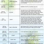 organ-timings