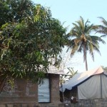 Distant view of tent at Lion Roar farm, Bhojde, Sasan Gir