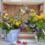butterfly-14.jpg