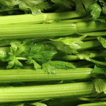 Celery.jpg