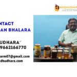 Contact Darshan Bhalara